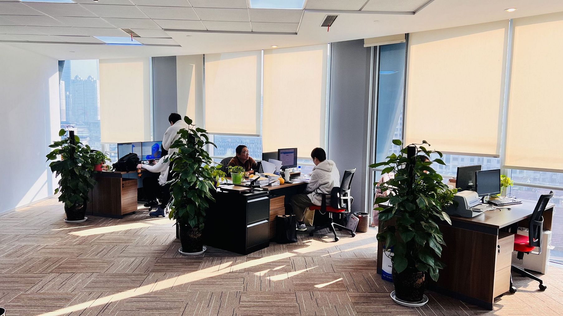 崇明开发区免费注册服务的真实体验？